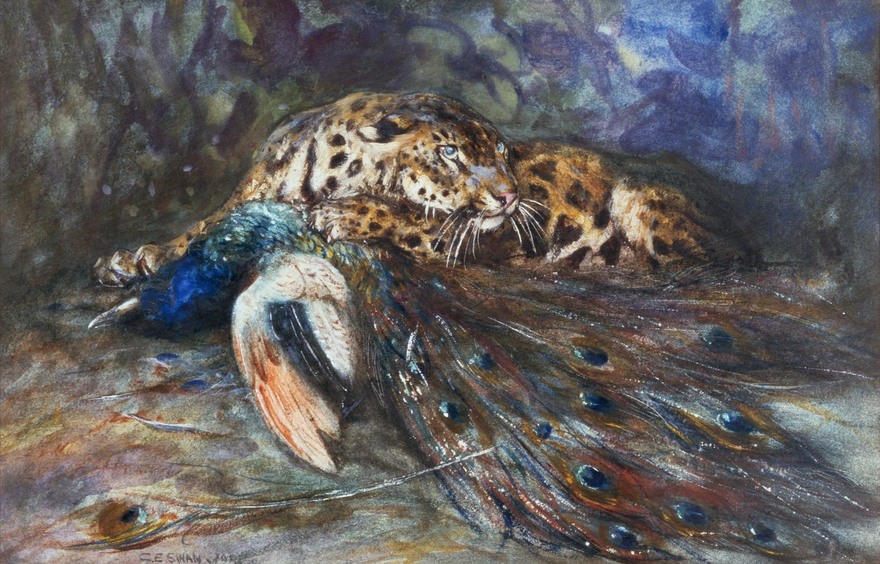 Jaguar med påfågel av Cuthbert Edmund Swan