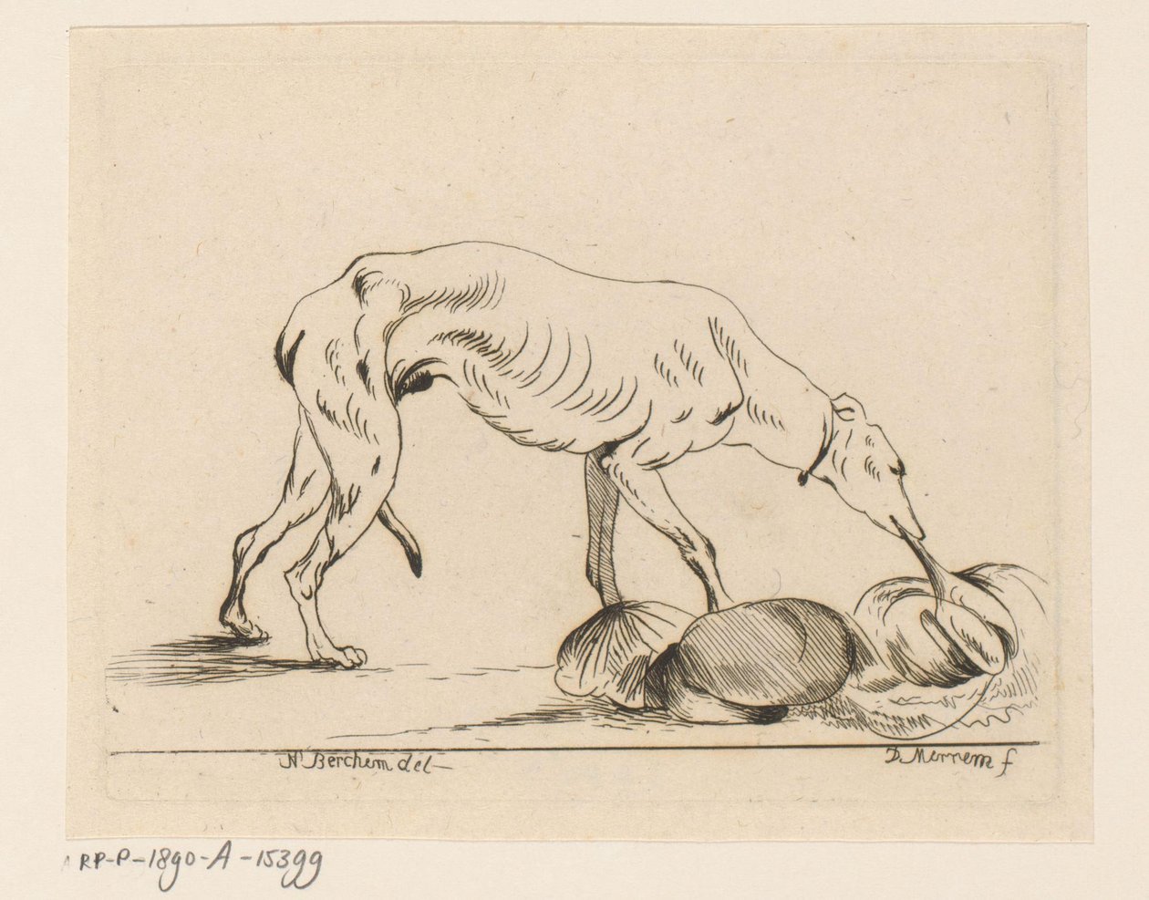 äter hund av D. Merrem