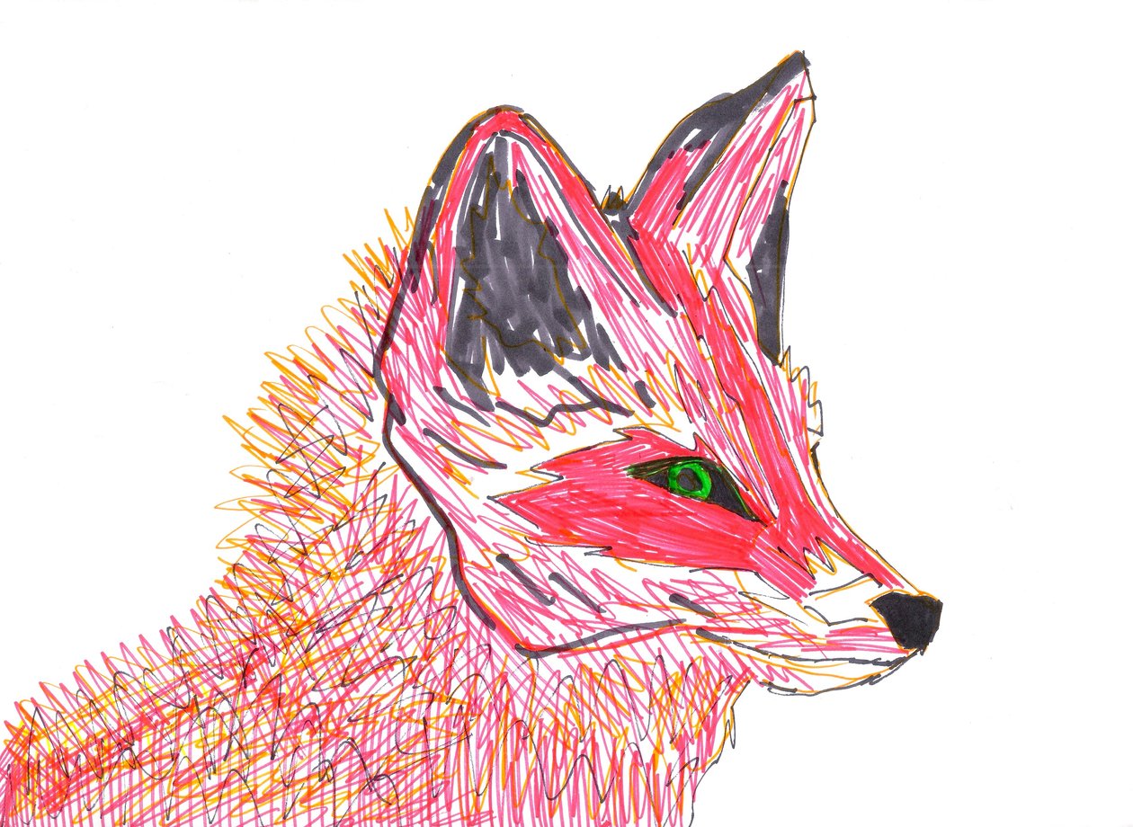 Fox (filtspets på papper) av Daisy de Villeneuve
