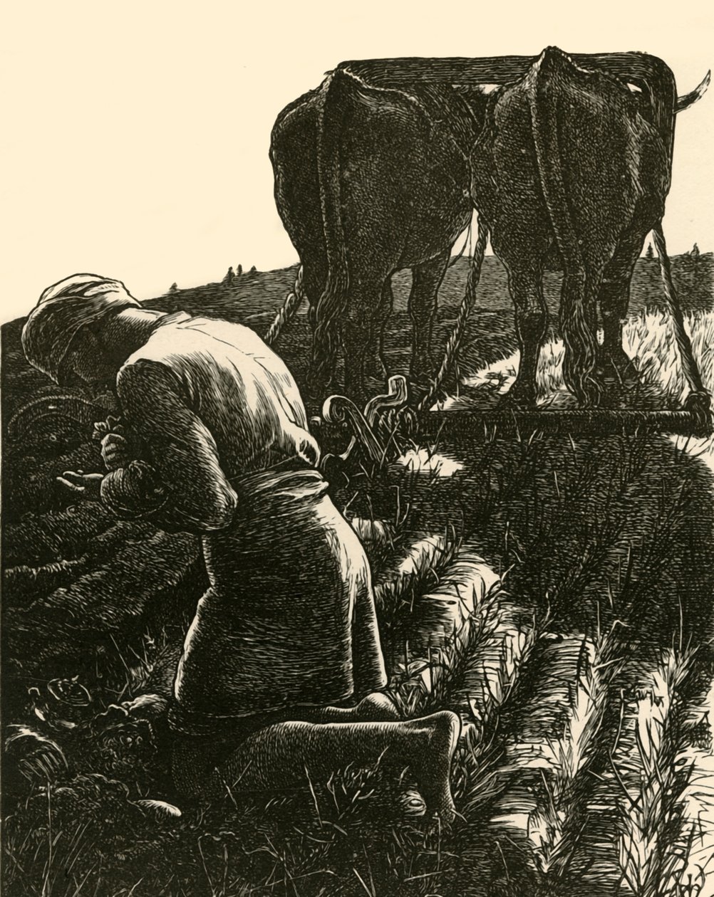 Den gömda skatten, 1864, 1928. av Dalziel Brothers