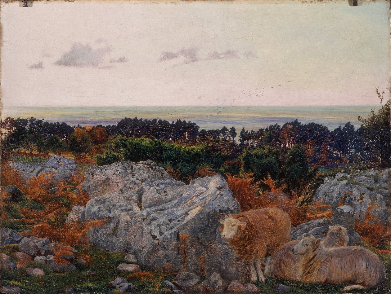 Morecambe Bay från Warton Crag av Daniel Alexander Williamson