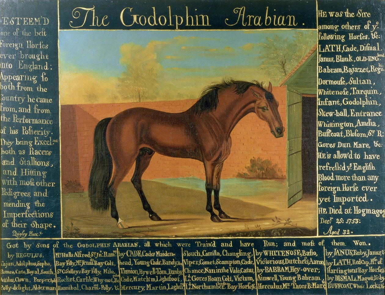 Godolphin Arabian av Daniel Quigley