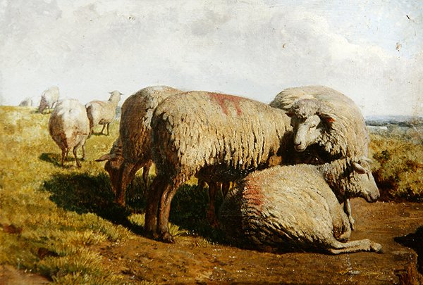 En grupp får av Daniel Alexander Williamson