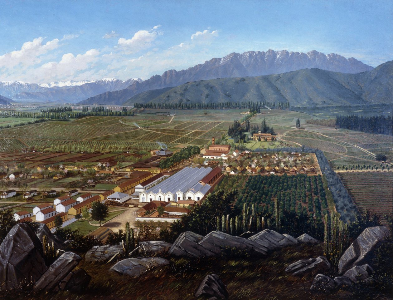 Vingården i Errazuriz-Panquehue, Chile, 1896 av Daniel Escobar