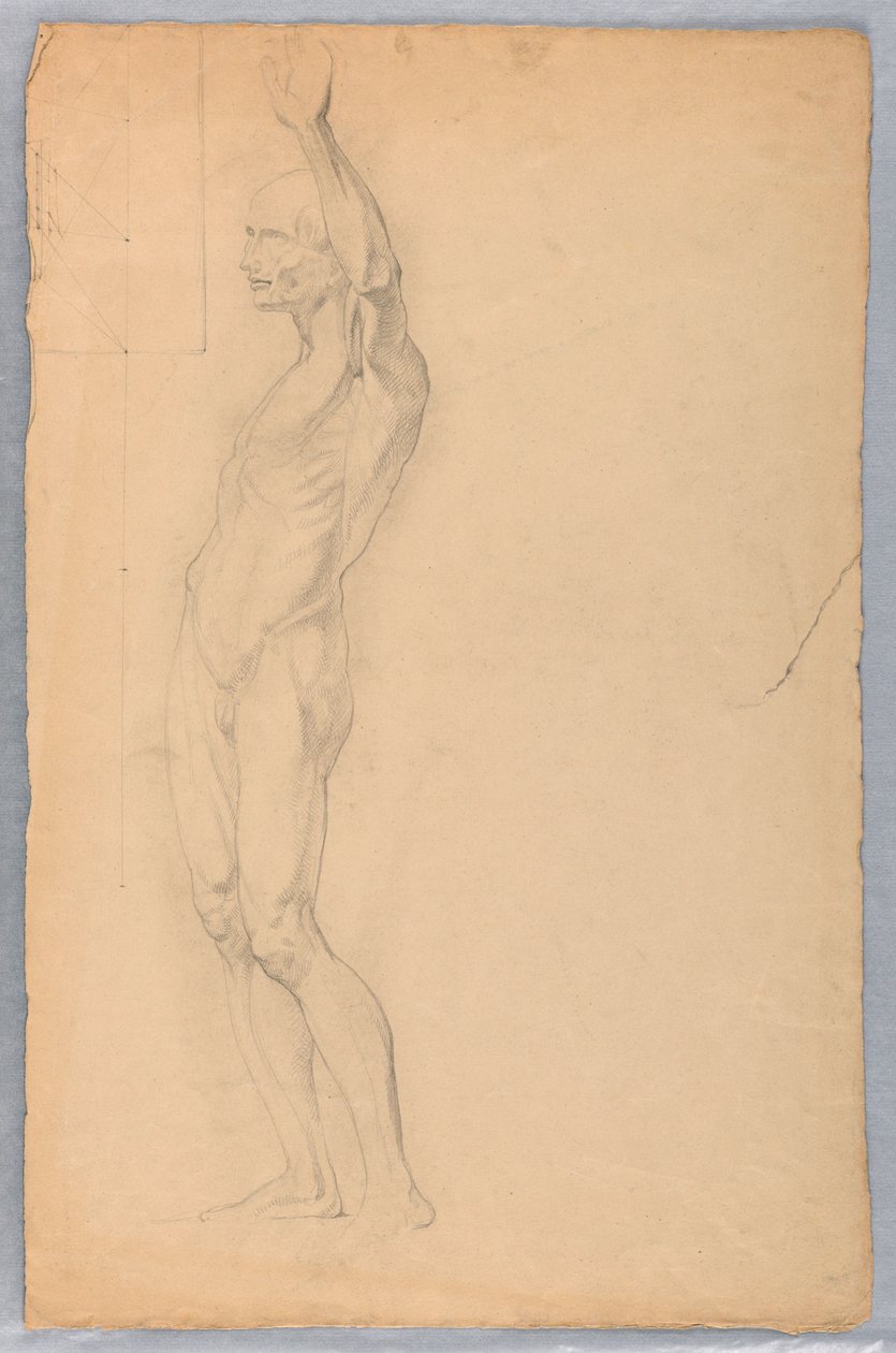 Teckning, Anatomisk studie av man, ca 1850 av Daniel Huntington