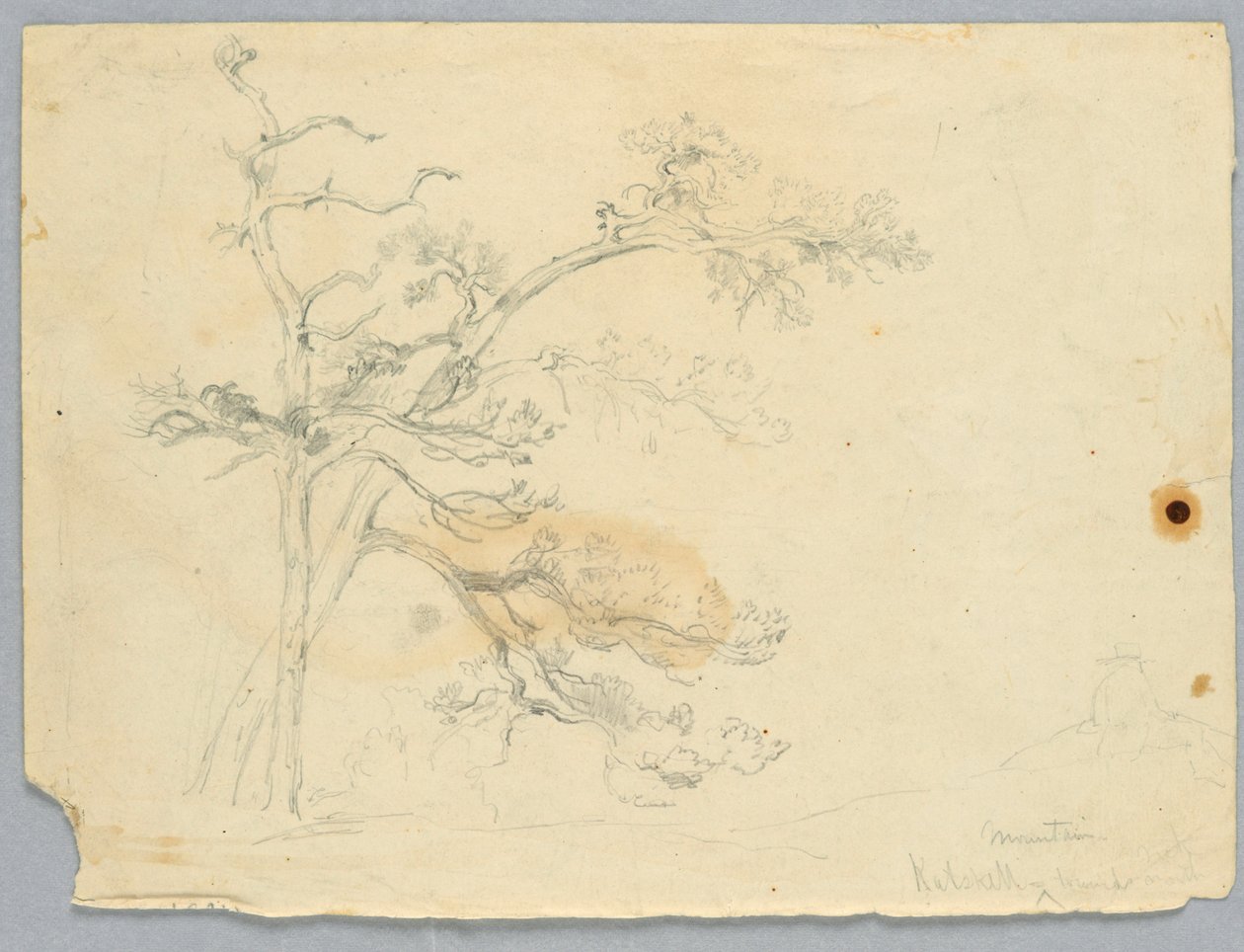 Studie av Two Pines, Catskill Mountains av Daniel Huntington