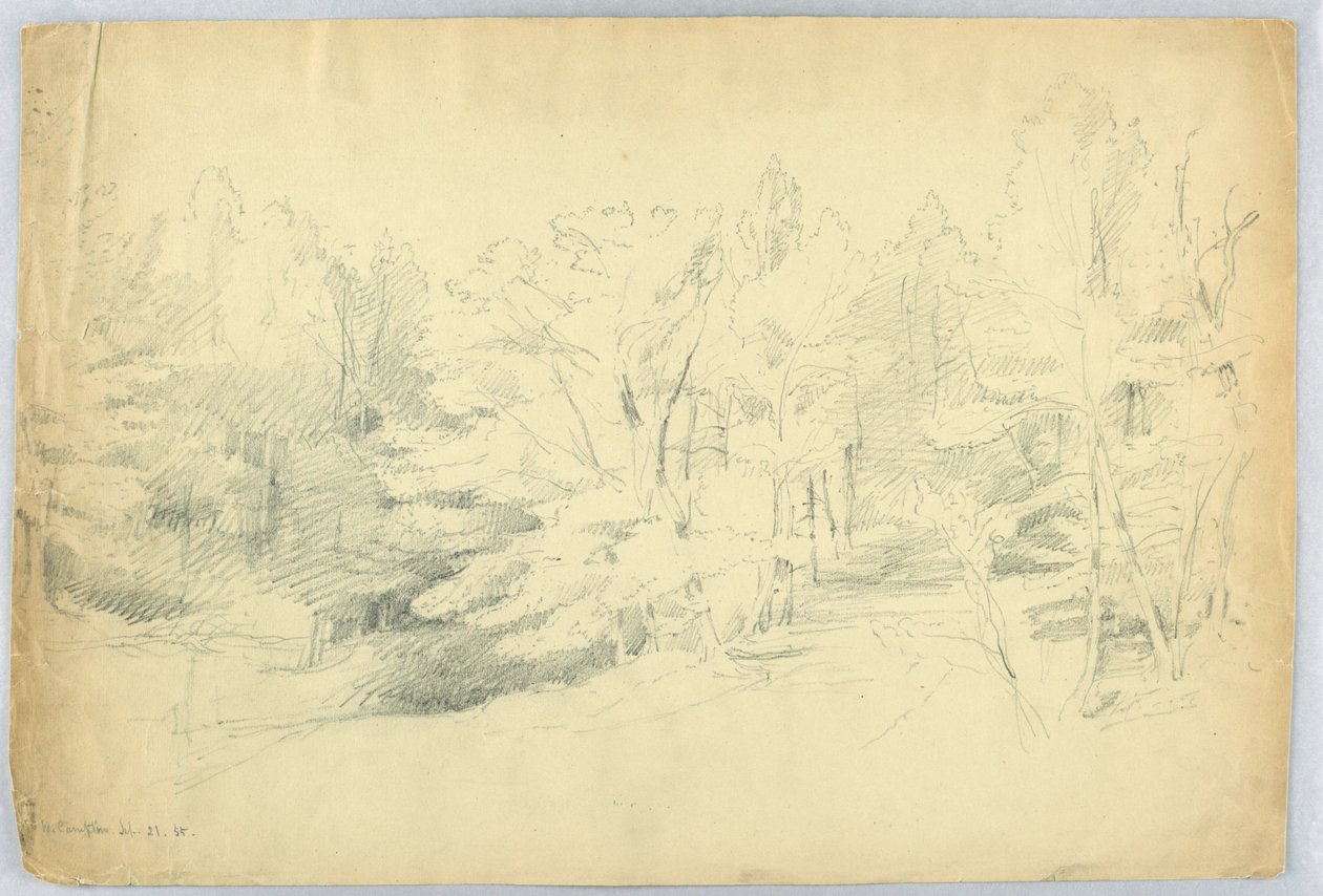 Skogbevuxen scen - West Campton, New Hampshire av Daniel Huntington