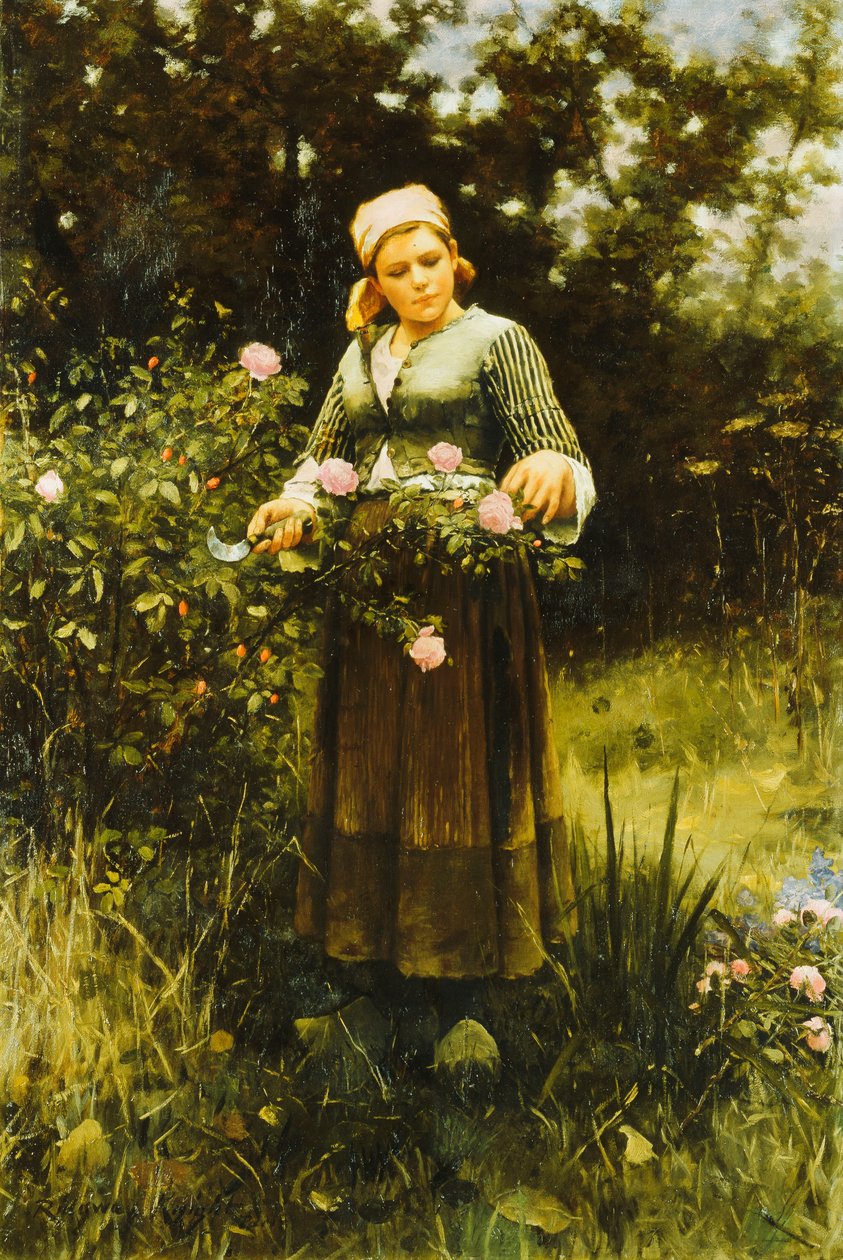 Samla rosor, av Daniel Ridgway Knight