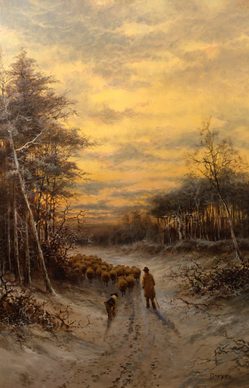 Får i snön av Daniel Sherrin