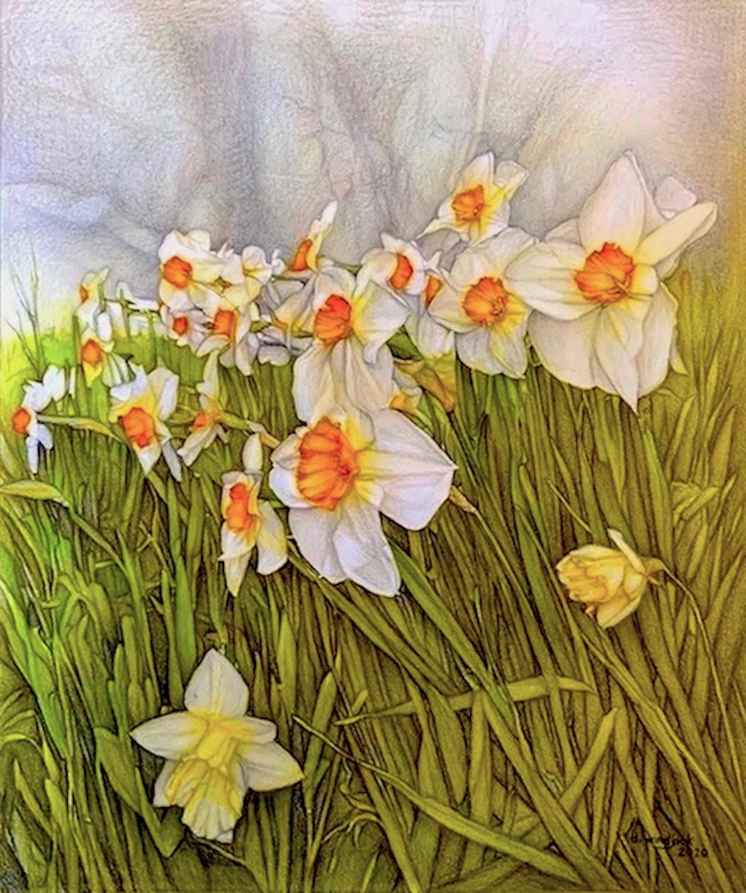 Dancing Daffodils, 2020 (blyerts på papper) av Darrell Windjack