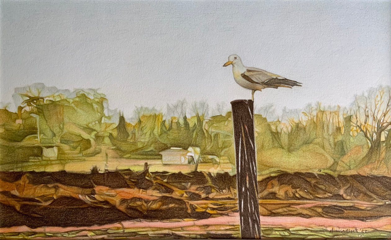 Lone Seagull, 2022 (blyerts på papper) av Darrell Windjack