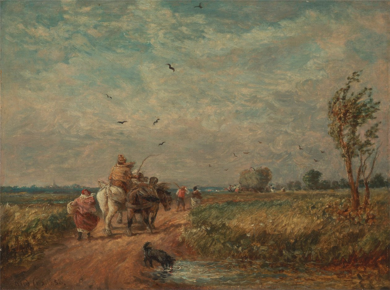 Åker till Hayfield av David Cox