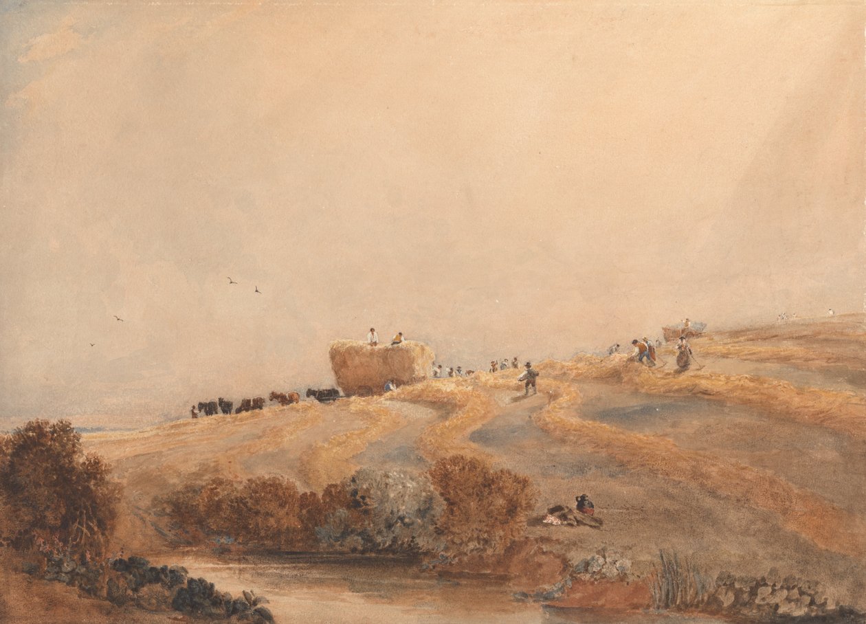 Slåtter av David Cox