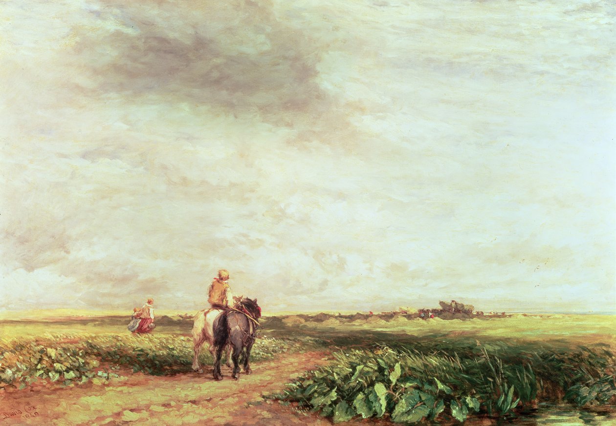 Landskap av David Cox