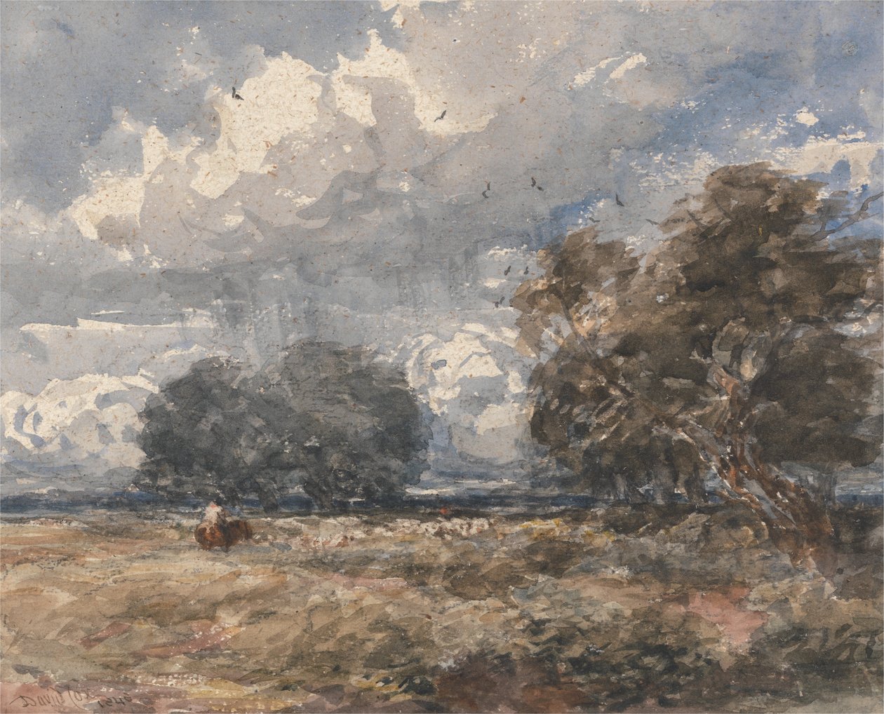 Shepherd flocken, blåsig dag av David Cox