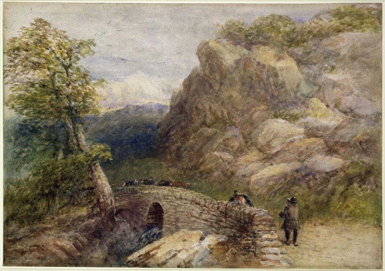 Utsikt i norra Wales, 1858 av David Cox