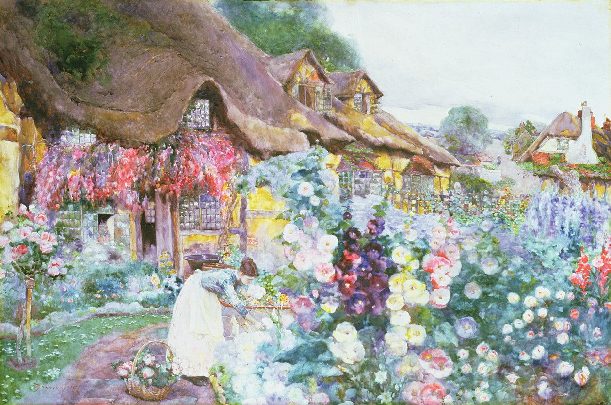 Stugträdgården av David Woodlock