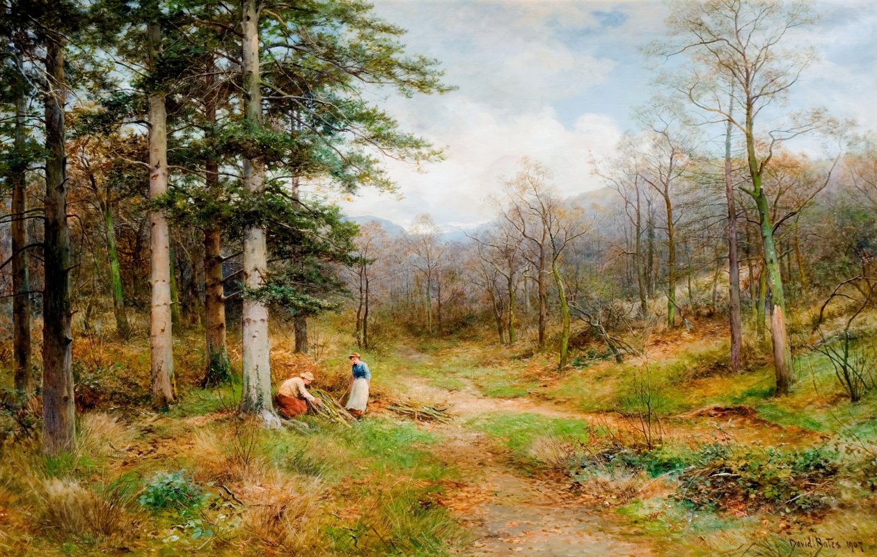 On The Long Mynd, Church Stretton, 1907. av David Bates