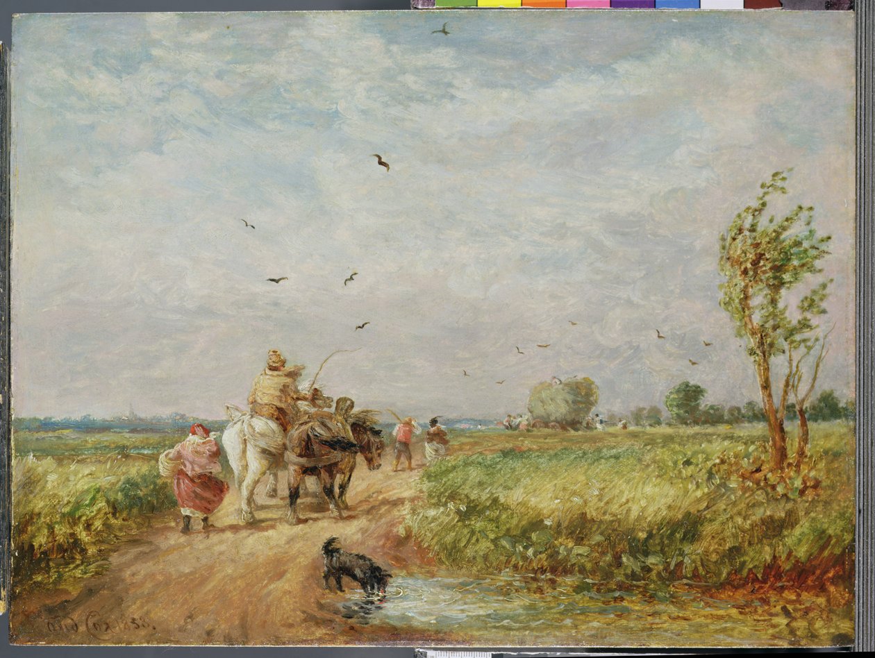Åker till Hayfield av David Cox