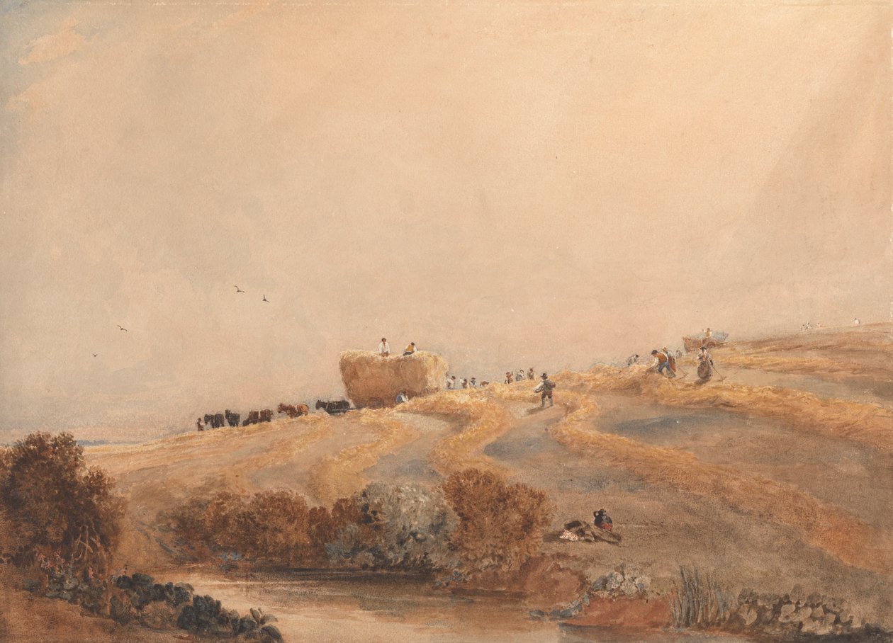 swedish av David Cox