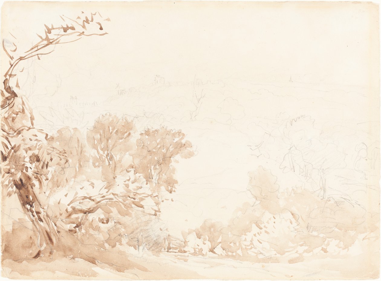 Hillside och träd av David Cox