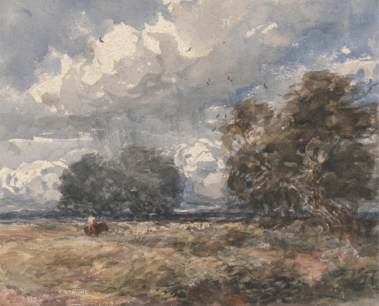 Herdar flocken, blåsig dag av David Cox