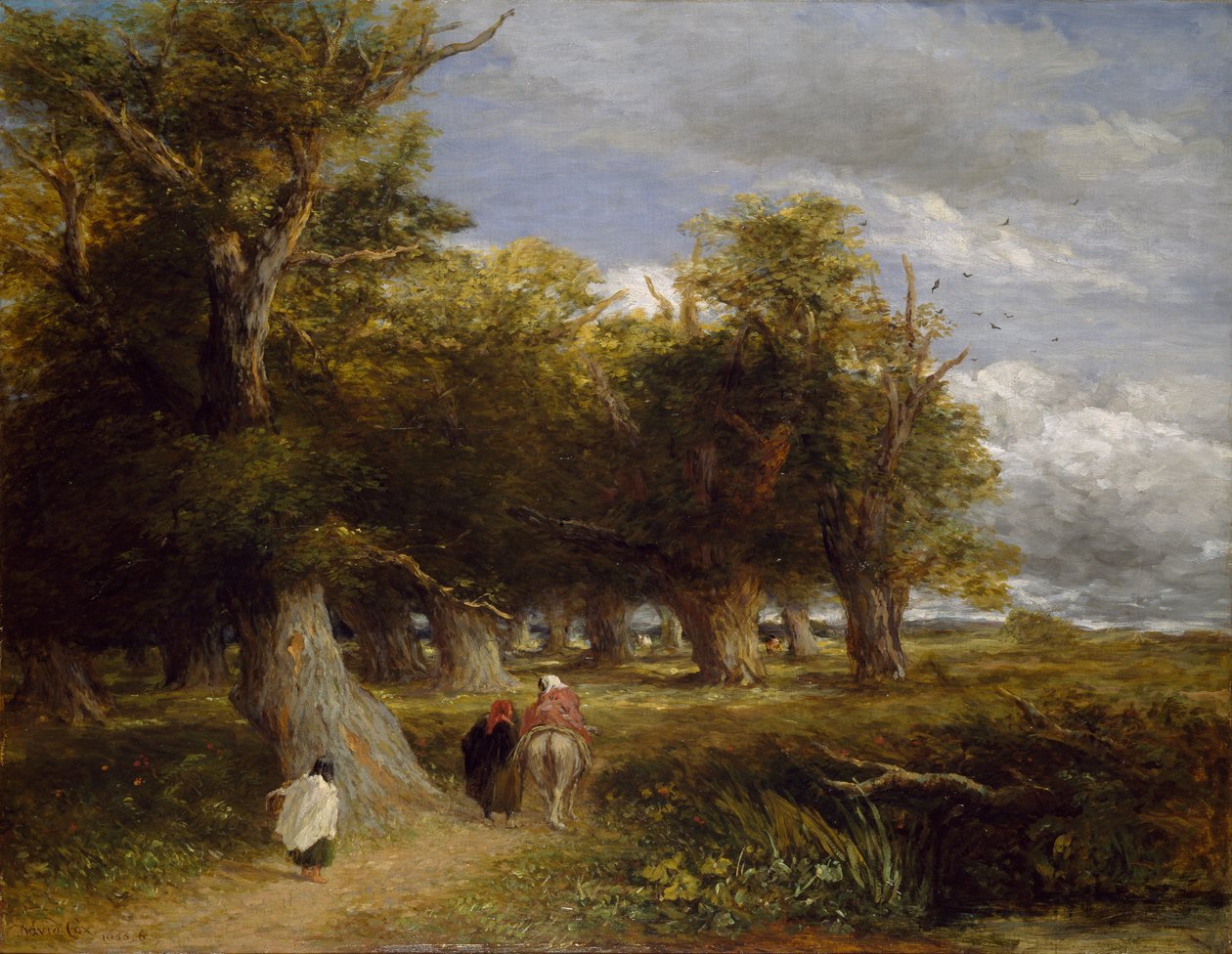 Skogens kjolar, 1855 av David Cox