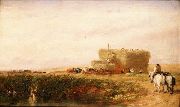 Höfältet av David Cox