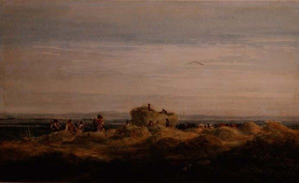 Höfältet av David Cox