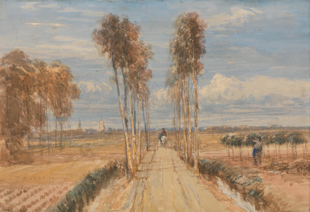 The Poplar Avenue, efter Hobbema av David Cox