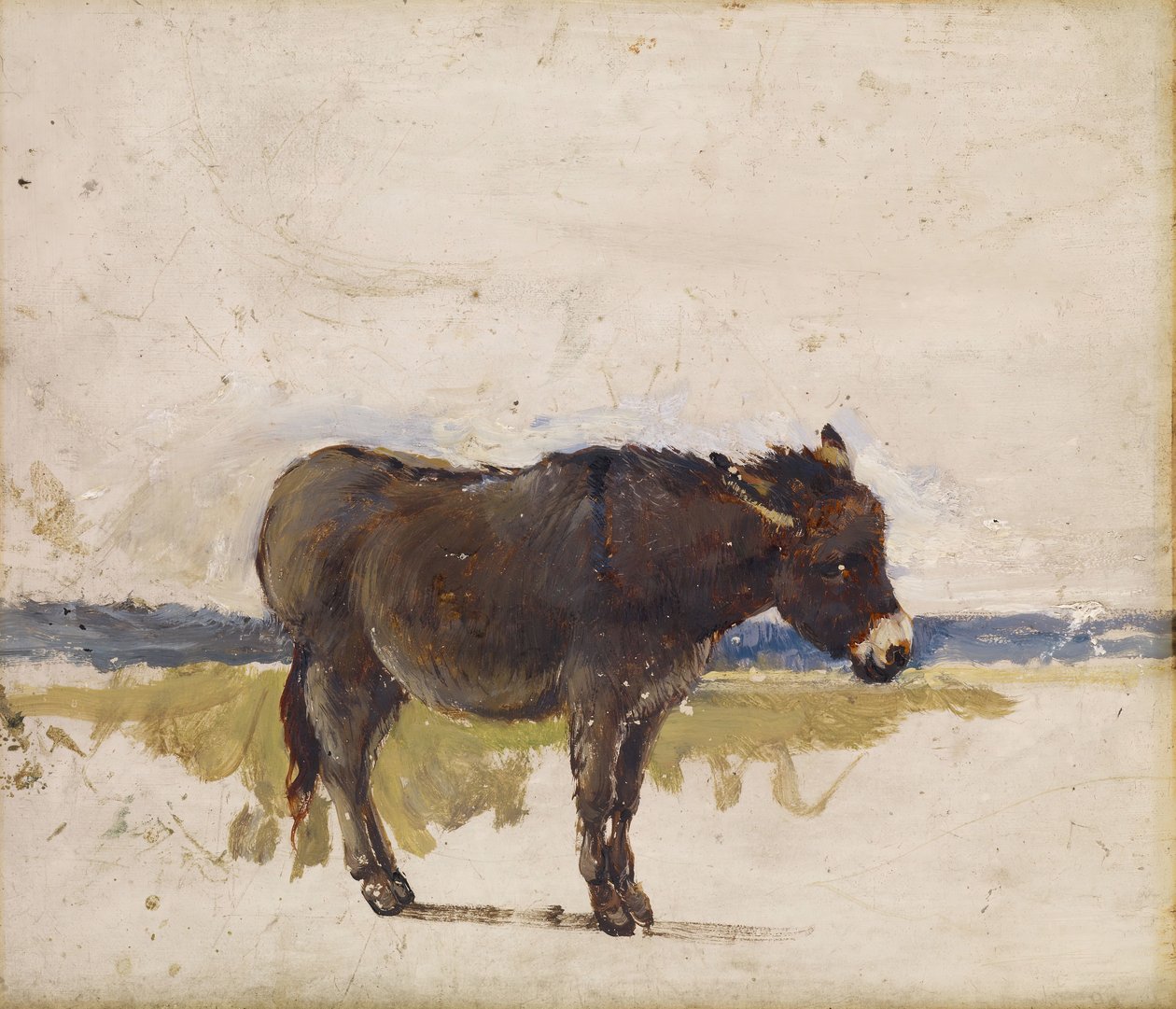 Studie av en åsna, 1841-1843. av David Cox the elder