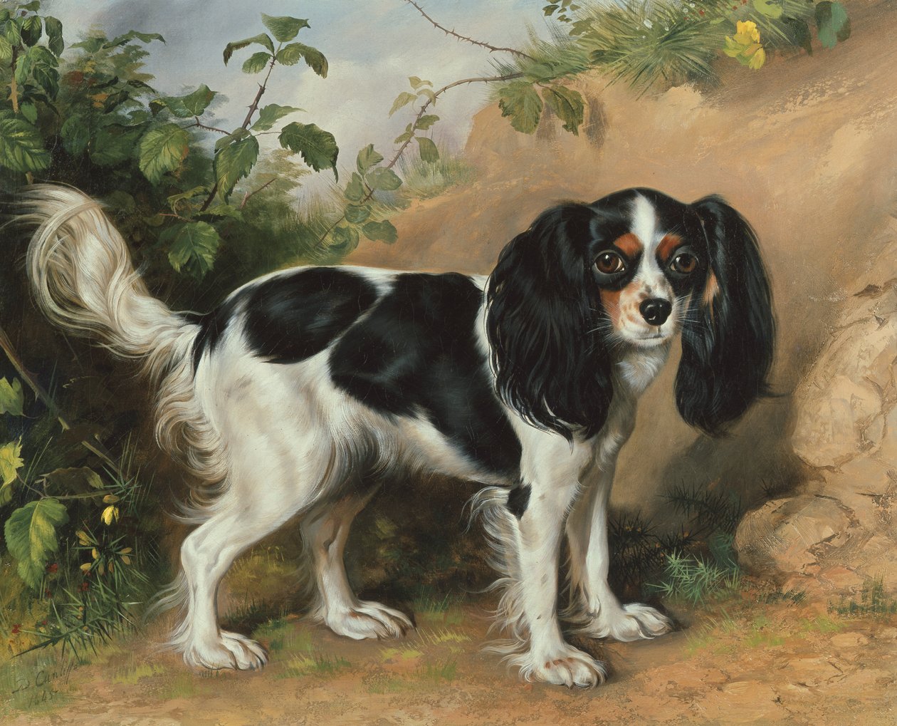 King Charles Spaniel av David Cunliffe