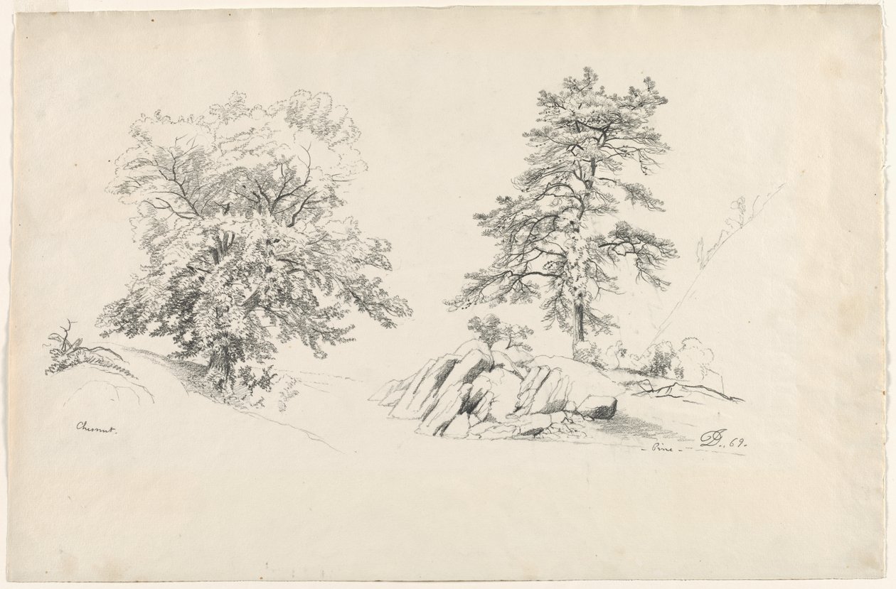 Kastanj och tall, 1869. av David Johnson