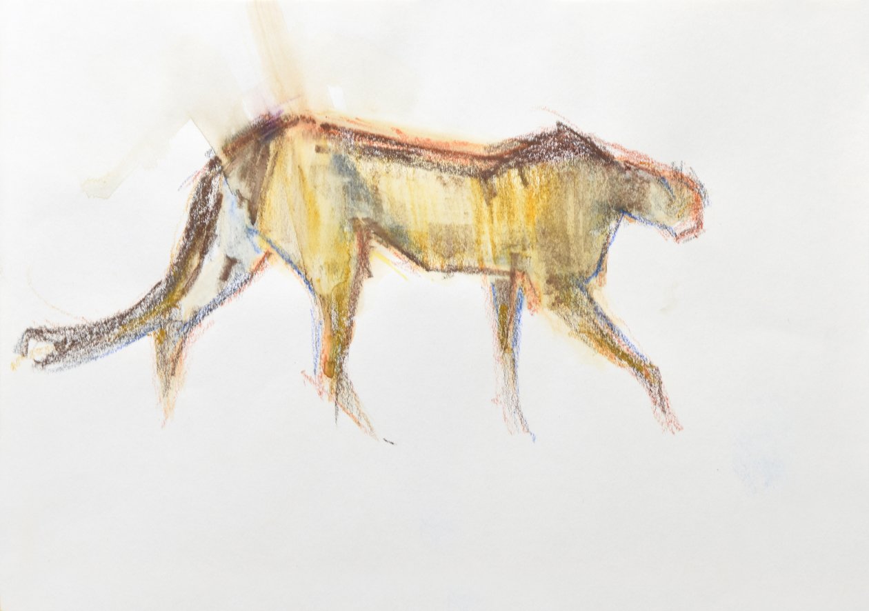 Cheetah, 2020 (krita och akvarell på papper) av David Mayer