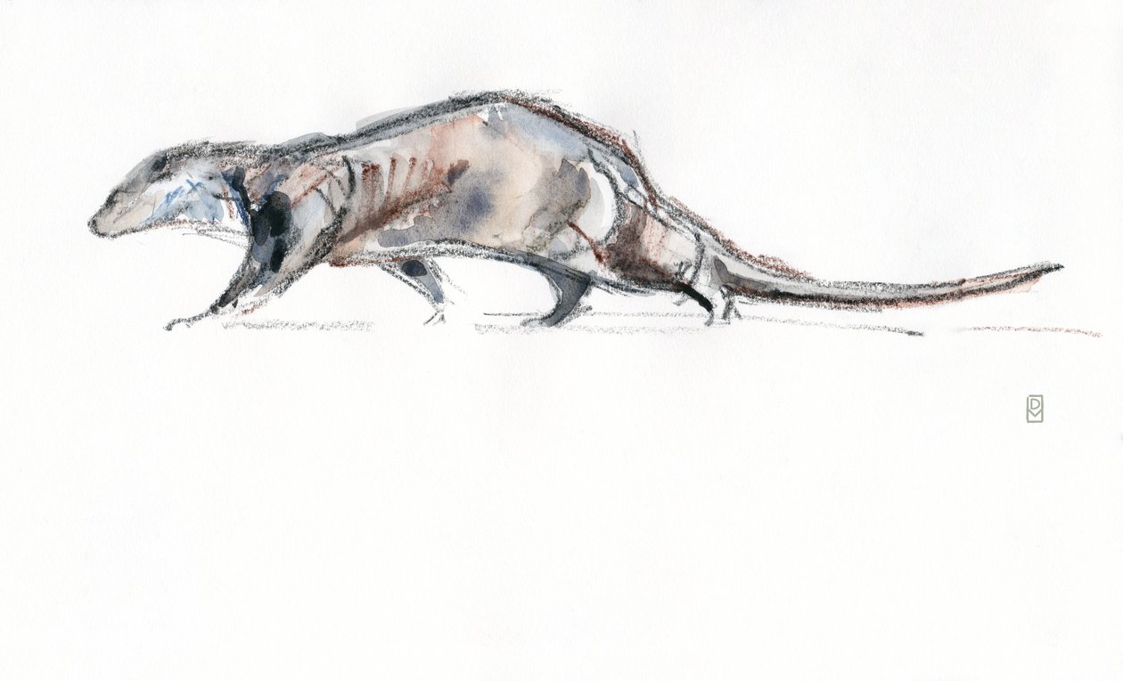 Otter running, 2022 (akvarell/krita på papper) av David Mayer