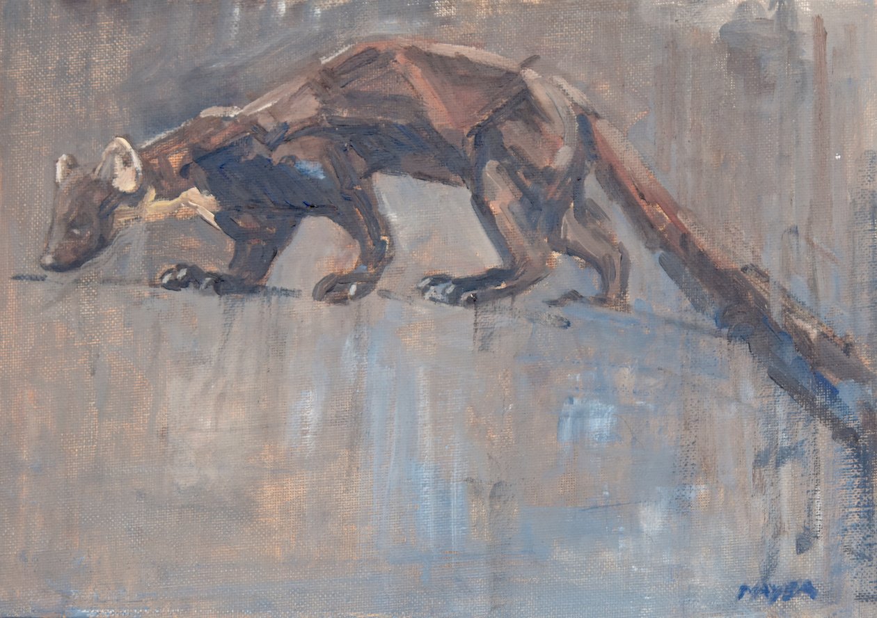 Pine Marten, 2023 (olja på duk) av David Mayer