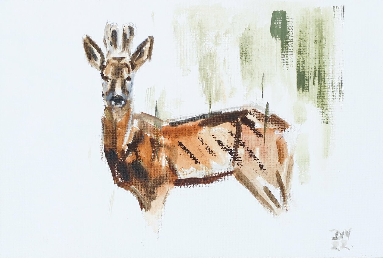 Rådjur (Buck), 2022 (olja på duk) av David Mayer