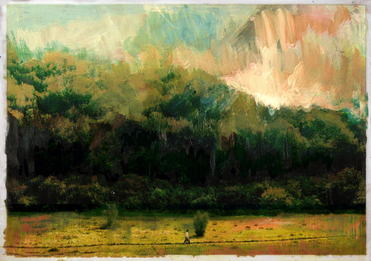 Oakridge Woods 2015 av David McConochie