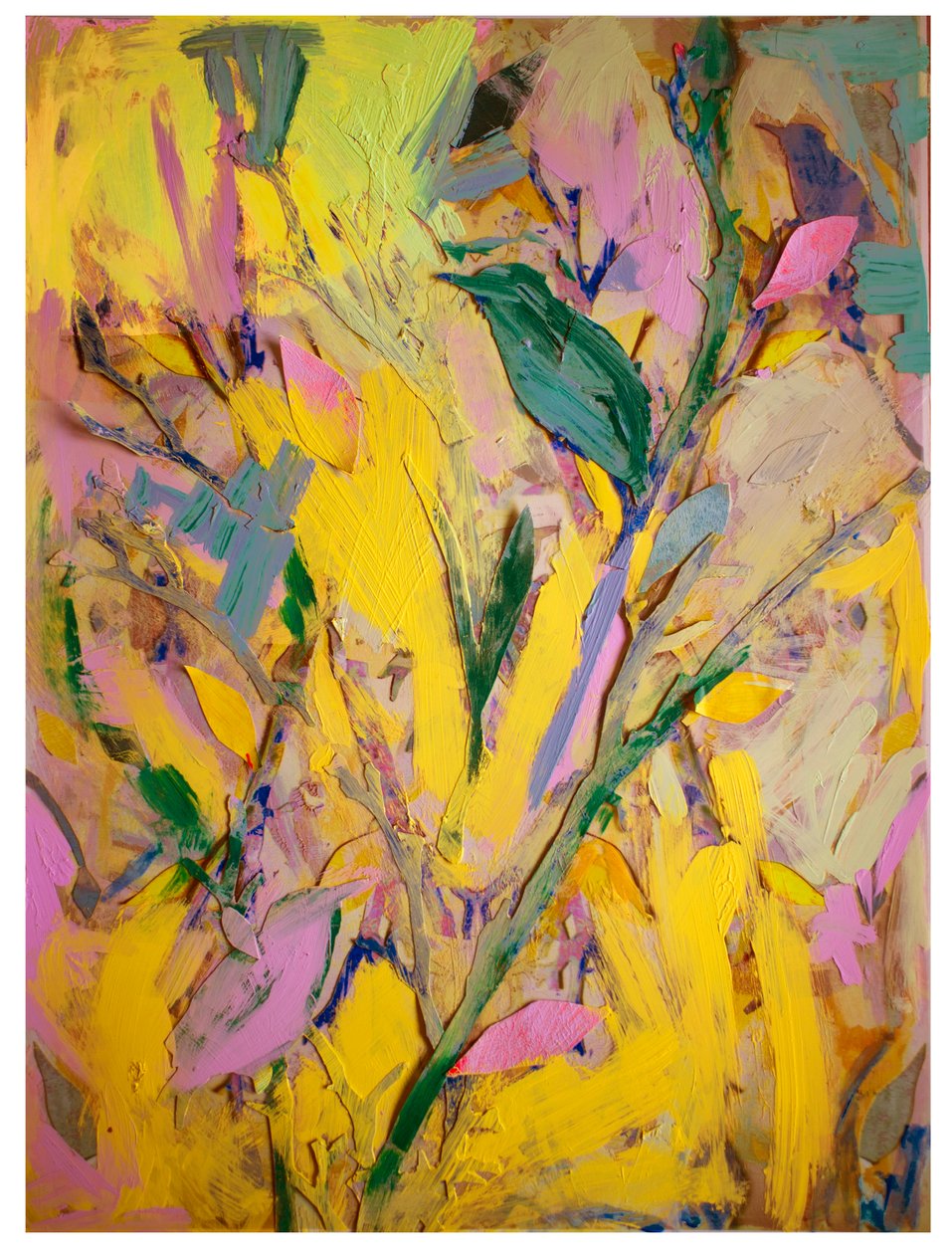 Starar, 2017 av David McConochie