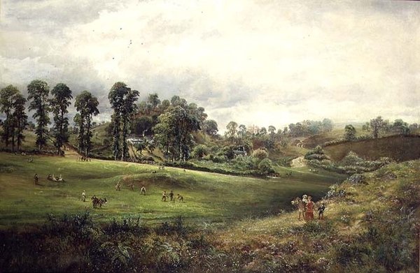 En Village Cricket Match av David Payne
