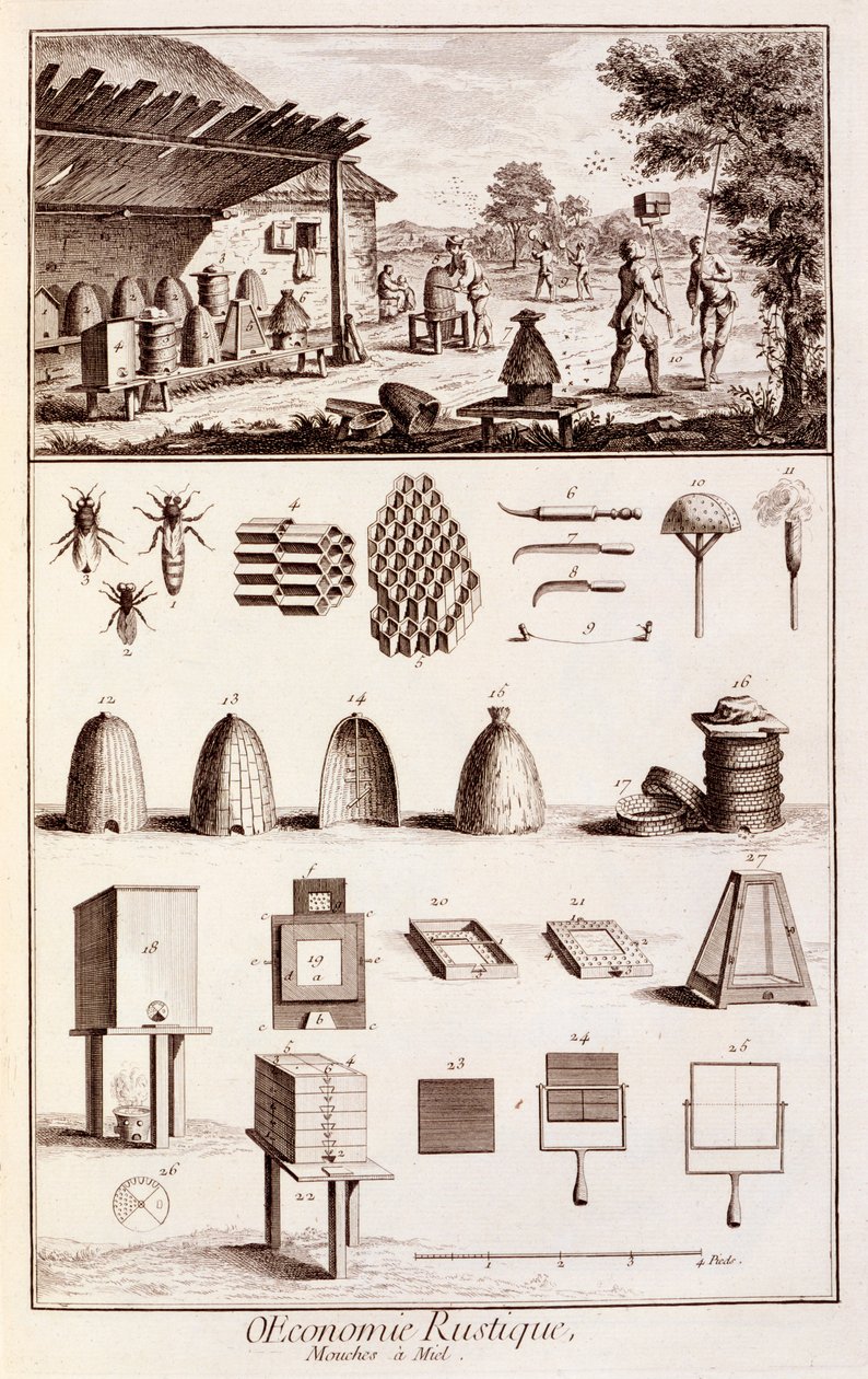 Biodling, från "Dictionary of Sciences", ca 1770 (se även 746839) av Denis Diderot
