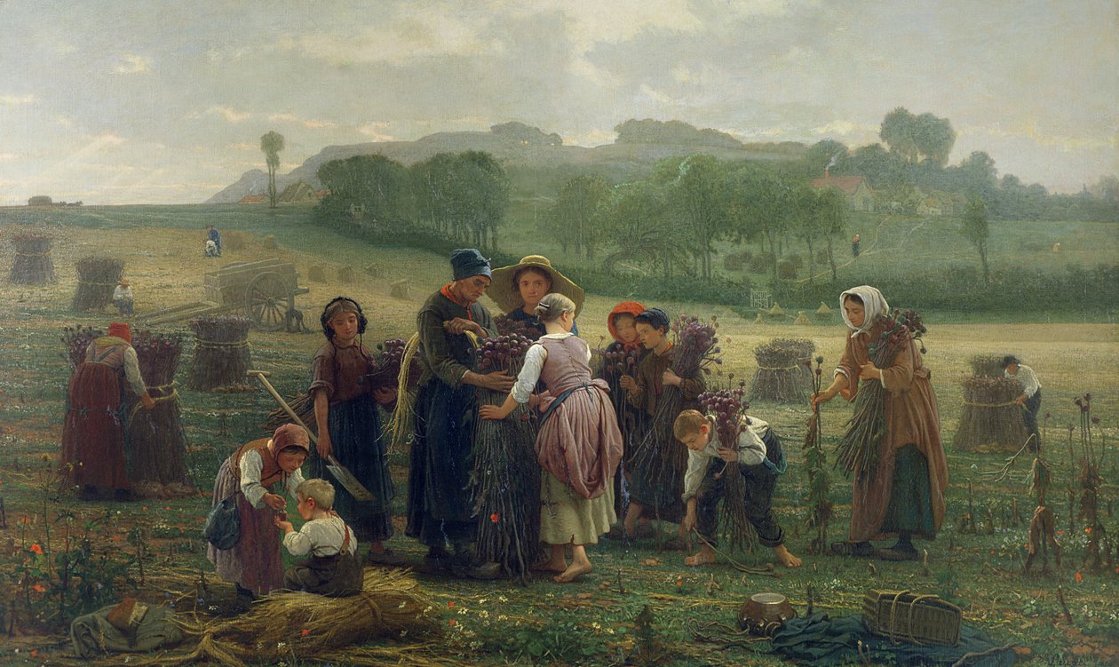 Skördar vallmo i Picardie, 1860 av Desire Francois Laugee