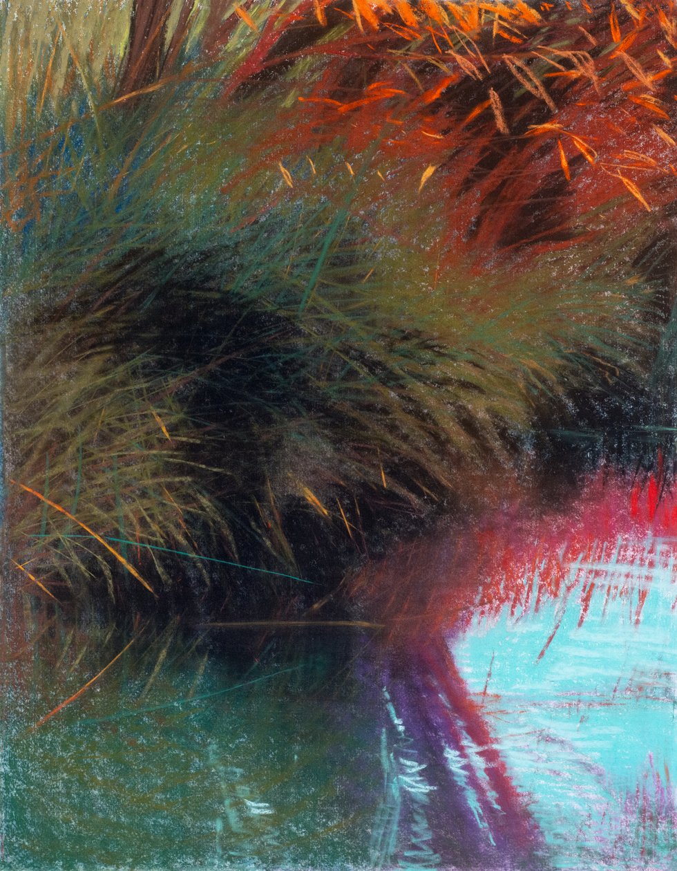 Red Willow 1b, 2021 (pastell på papper) av Diana Jahns