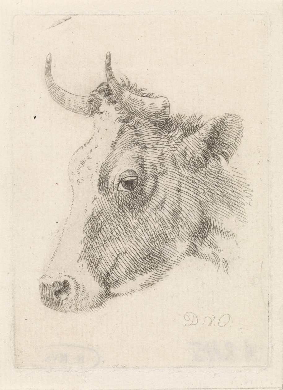 Kop van een stier, tekening van Dirk van Oosterhoudt av Dirk van Oosterhoudt  