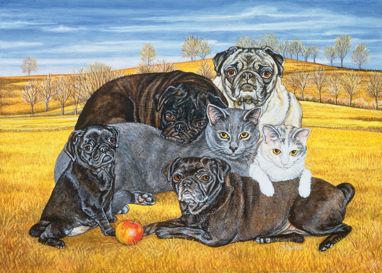 Hocking County Pug-Cats, 1995 av Ditz