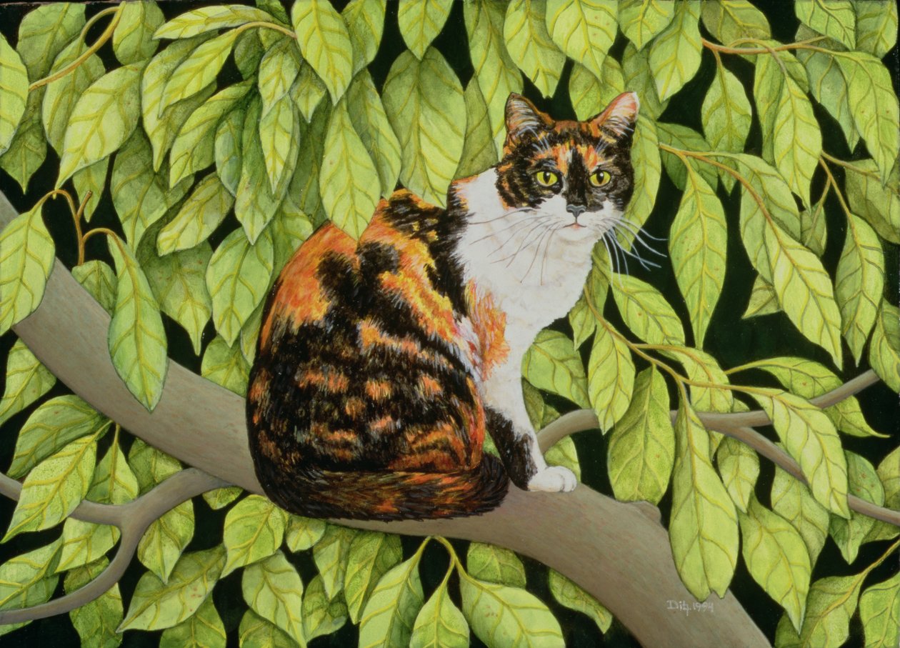 Leaves, 1994 av Ditz