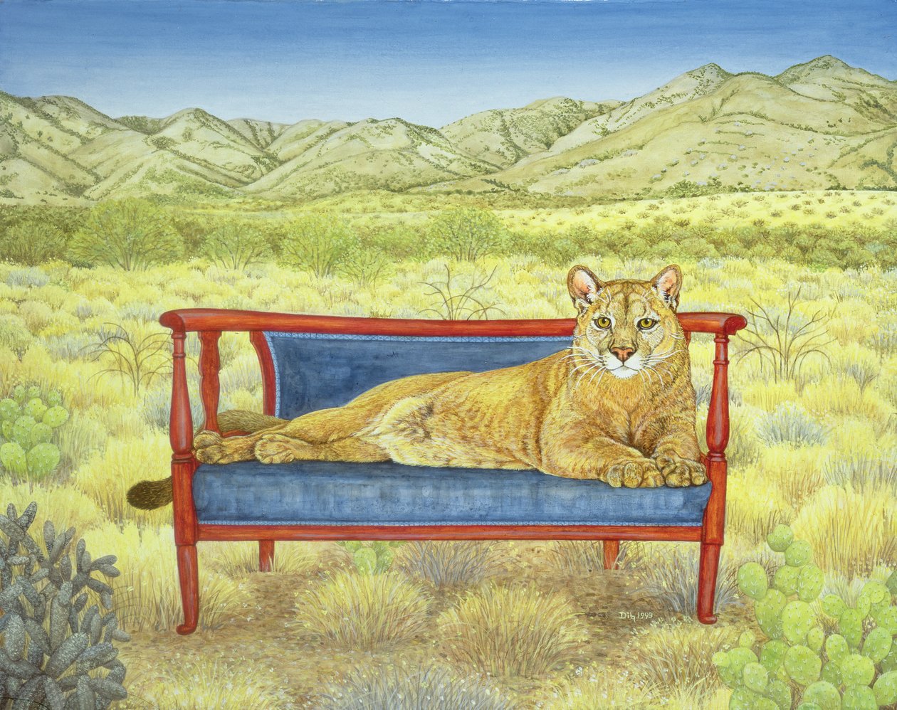 Millers Mountain-Lion av Ditz