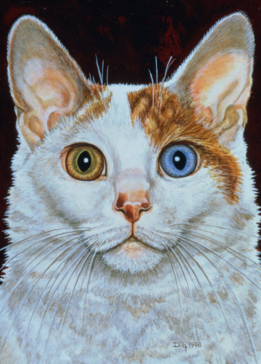 Minette, 1996 (akryl på panel) av Ditz