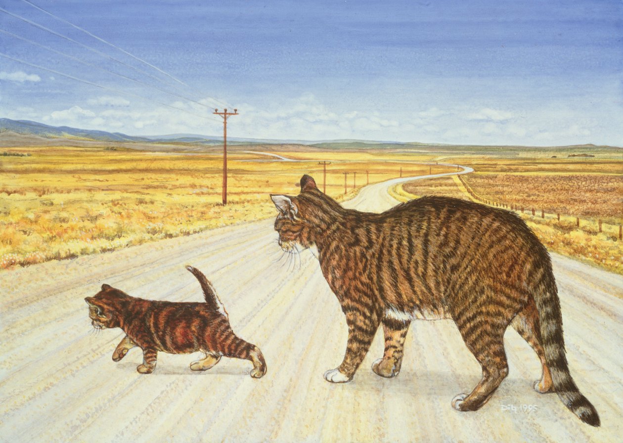 Saratoga Crossing, 1995 av Ditz