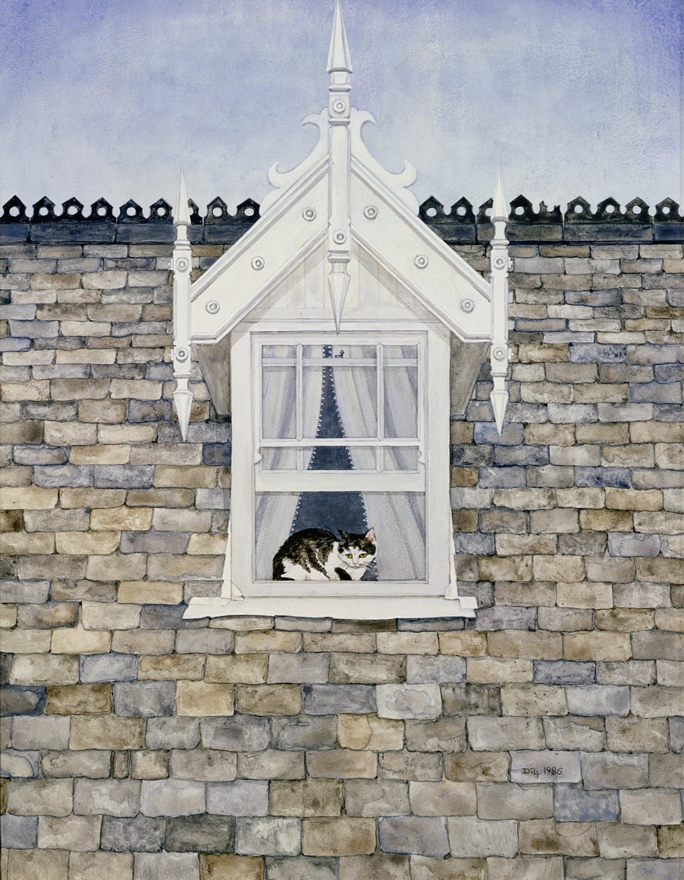 St. Helier Dormer Cat av Ditz